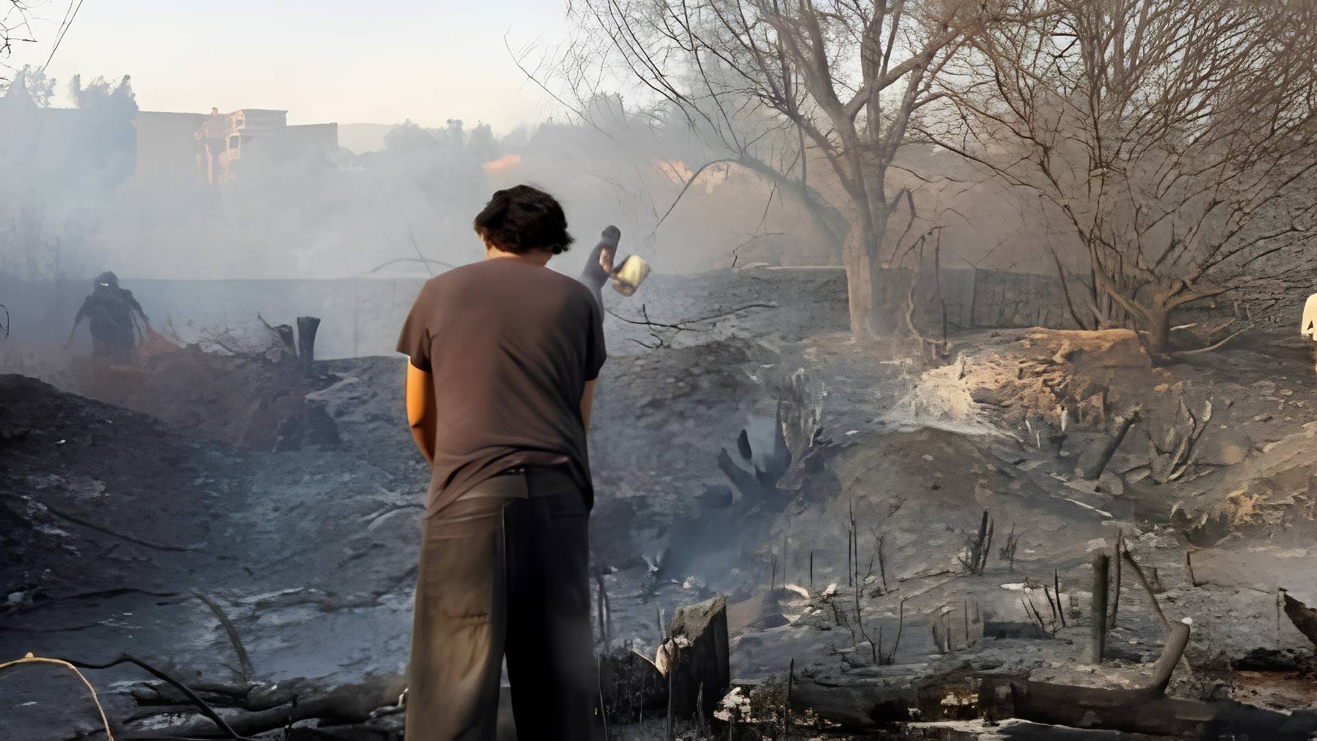 Gobierno vigilará con satélite los incendios forestales