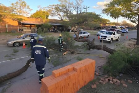 Vientos provocan incendios, caída de árboles en la capital cruceña