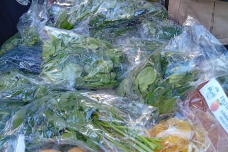 La Paz necesita impulsar huertos urbanos para fortalecer la seguridad alimentaria y reducir su dependencia del abastecimiento externo