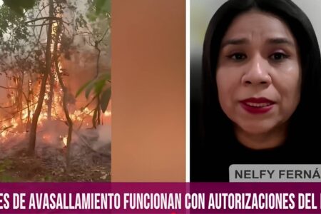 Amazonía indígena perdió 186.500 hectáreas por tráfico de tierras