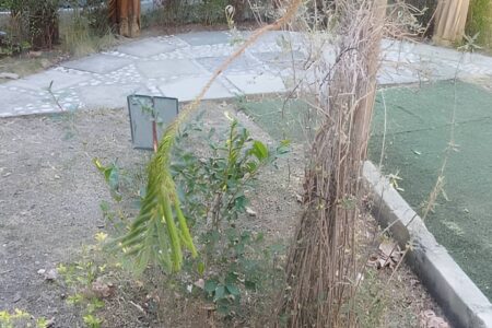 Denuncian que el Jardín Botánico «agoniza» por la falta de agua