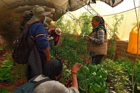 Alertan futura escasez de alimentos
