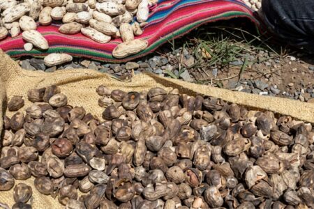 Cómo conservar comida en tiempos difíciles