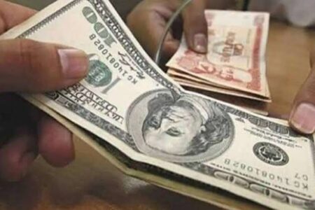 Importadores y gremiales advierten que el dólar flexible eleva costos y genera mayor incertidumbre
