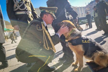Diez canes de la Policía Boliviana son jubilados tras años de servicio y serán adoptados por familias