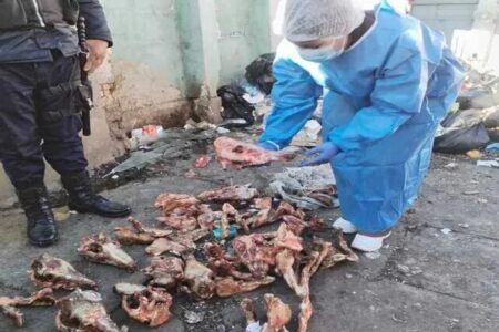 Confirman que los restos hallados en basura de El Alto durante los conflictos sociales eran de perros