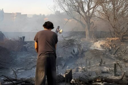 Gobierno vigilará con satélite los incendios forestales